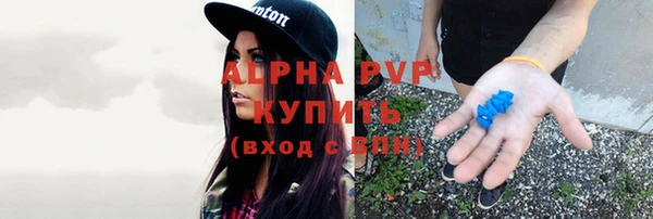 круглые Гусев