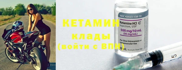 прущие грибы Горно-Алтайск