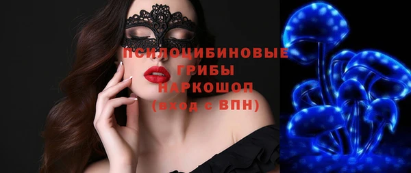 круглые Гусев