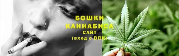 прущие грибы Горно-Алтайск