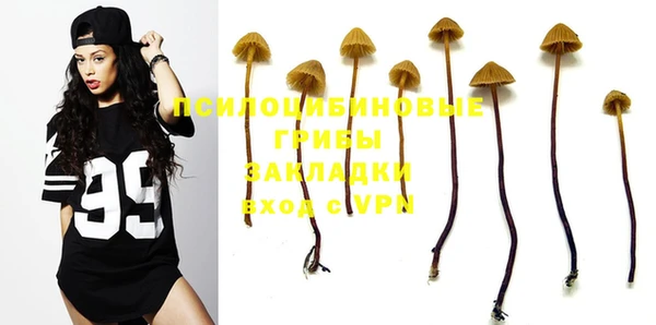 PSILOCYBIN Горнозаводск