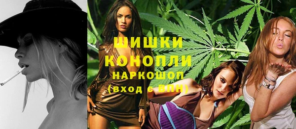 PSILOCYBIN Горнозаводск