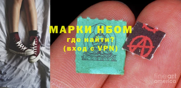 прущие грибы Горно-Алтайск