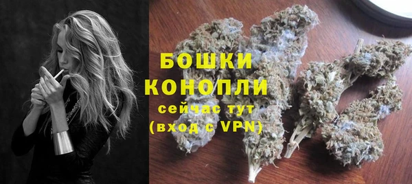 круглые Гусев