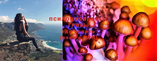 PSILOCYBIN Горнозаводск
