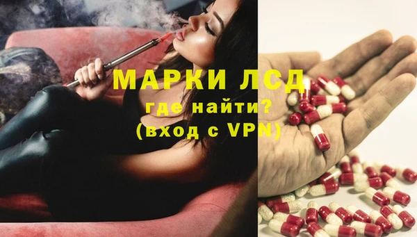 PSILOCYBIN Горнозаводск