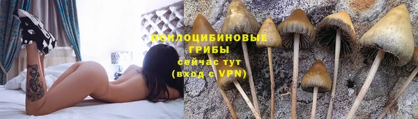 ешки Вяземский