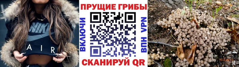 Псилоцибиновые грибы MAGIC MUSHROOMS Дегтярск