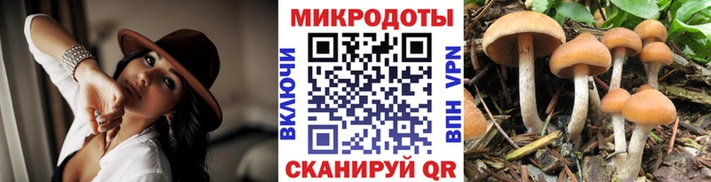 Псилоцибиновые грибы Cubensis  дарнет шоп  Дегтярск 